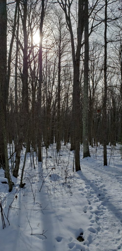 20191225_115510