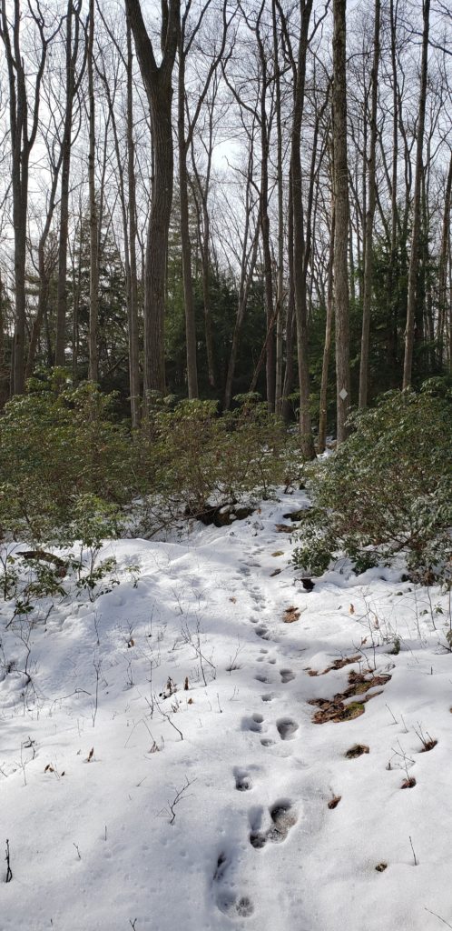 20191225_121428