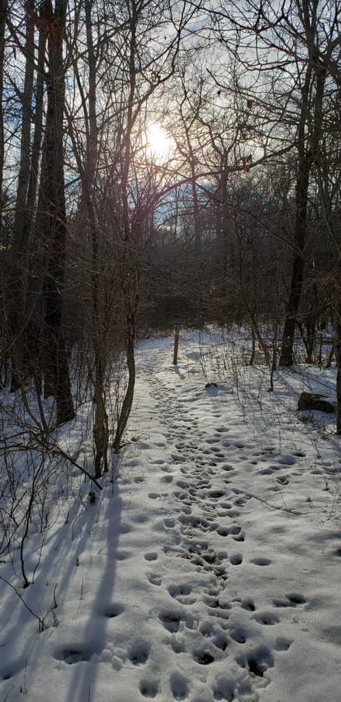 20191225_145320